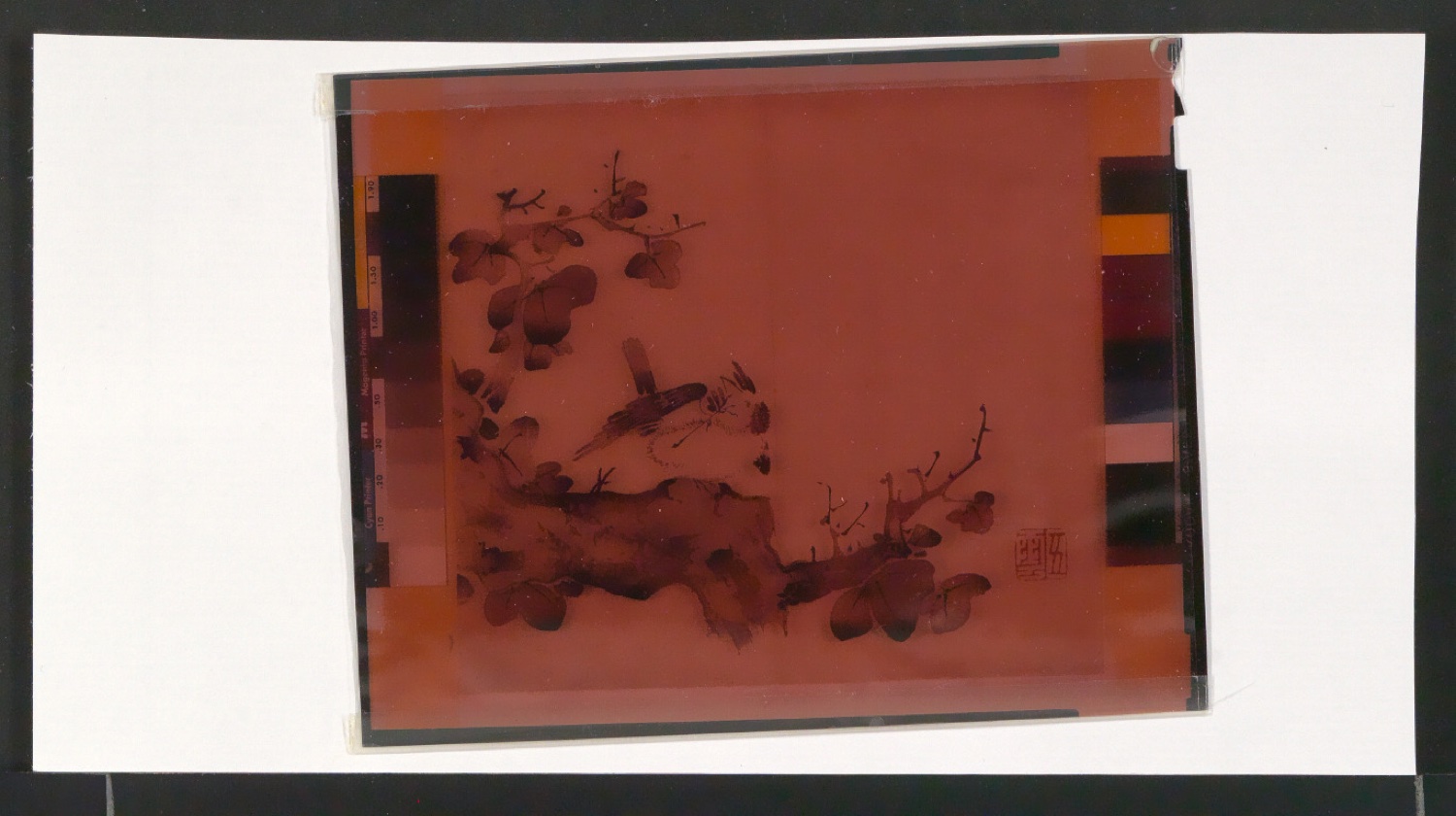 Fotoabzüge und Negative für Illustrationen von Die Bildersammlung der Zehnbambushalle — Blatt 1