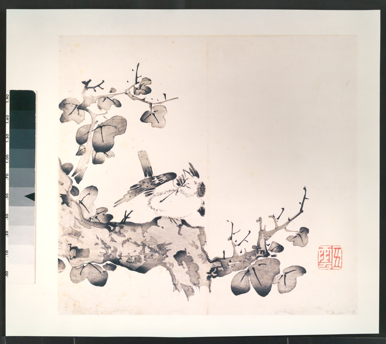 Fotoabzüge und Negative für Illustrationen von Die Bildersammlung der Zehnbambushalle — Blatt 10