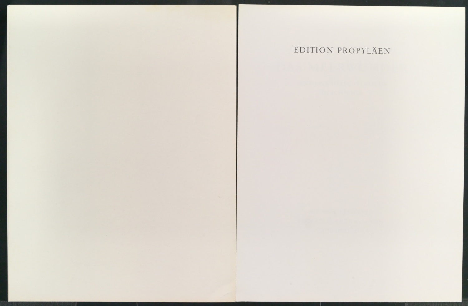 Meerwunder — Blatt 38