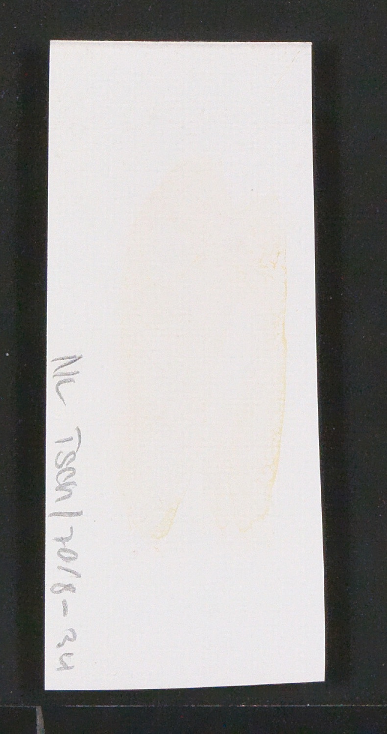 Entbehrliche Photokopien einzelner Buchstaben (gewöhnliche) ab 14 P — Blatt 92