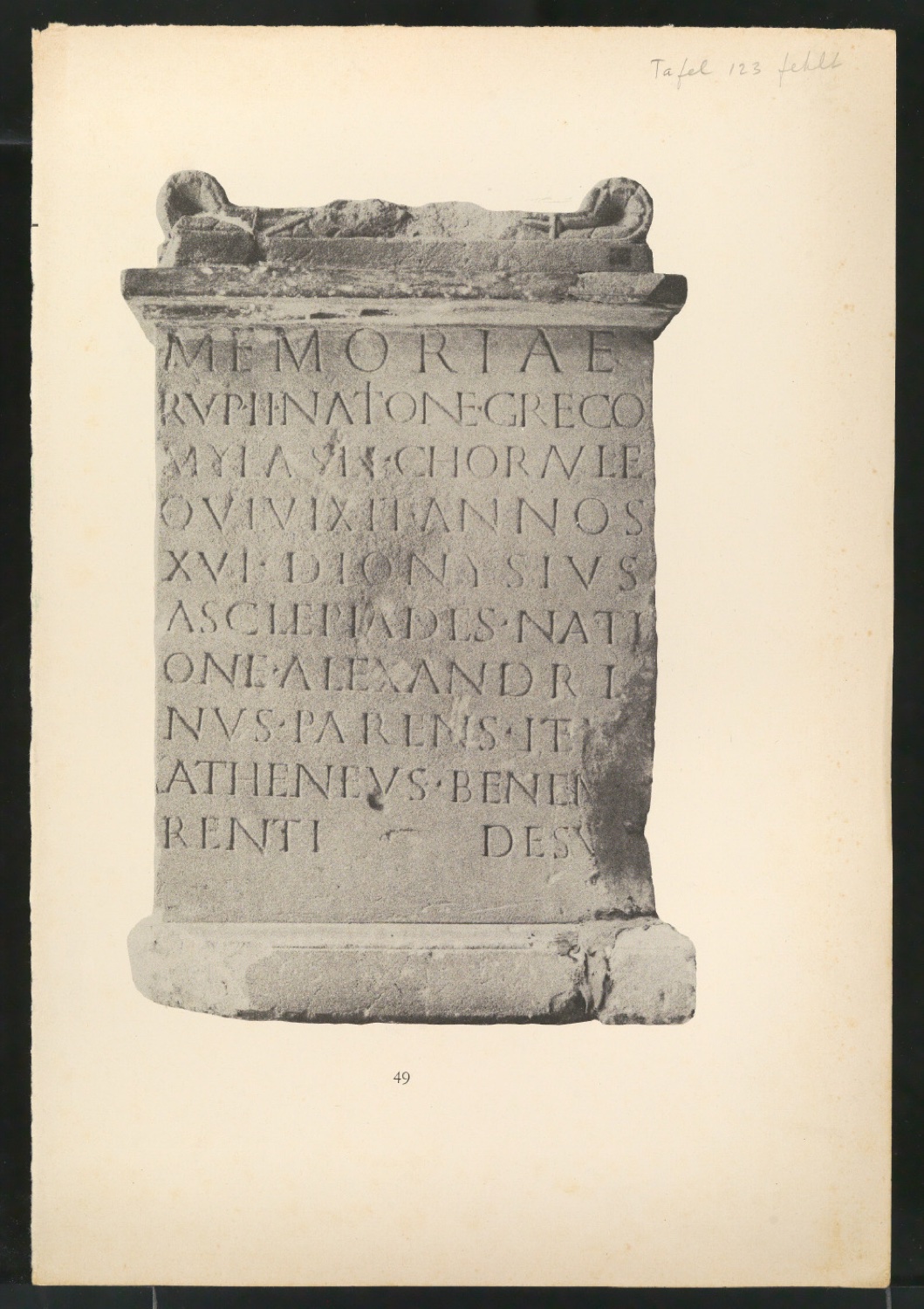 Druckfahnen der Bildtafeln für Meisterbuch der Schrift — Blatt 1