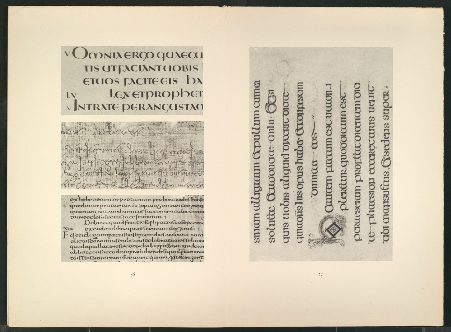 Druckfahnen der Bildtafeln für Meisterbuch der Schrift — Blatt 5