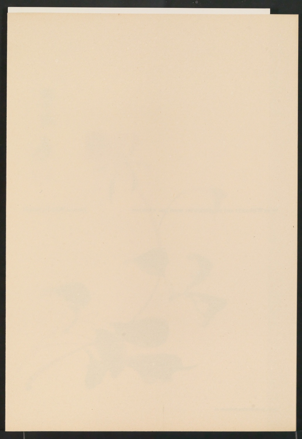 Neujahrswunsch 1953 mit Nachdruck eines chinesischen Holztafeldrucks — Blatt 1