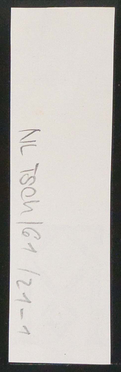 Vorarbeiten, Notizen und Entwürfe von Illustrationen für Meisterbuch der Schrift — Blatt 2