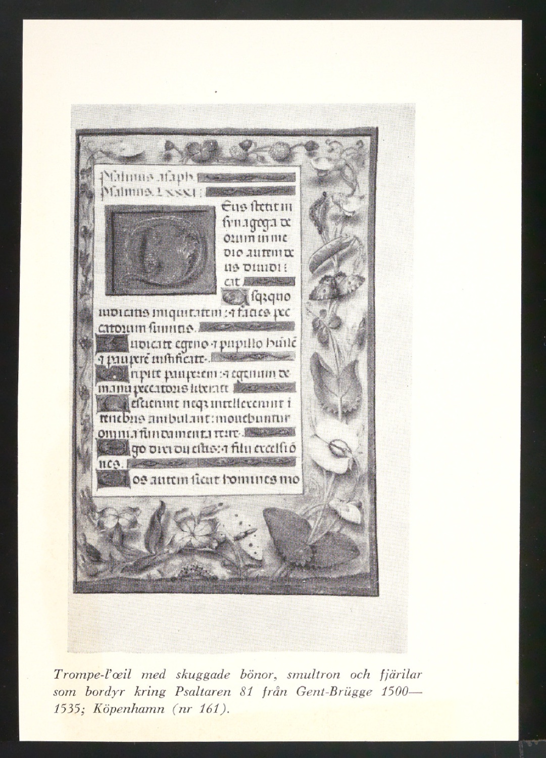 Blattsammlung zum Meisterbuch der Schrift — Blatt 15