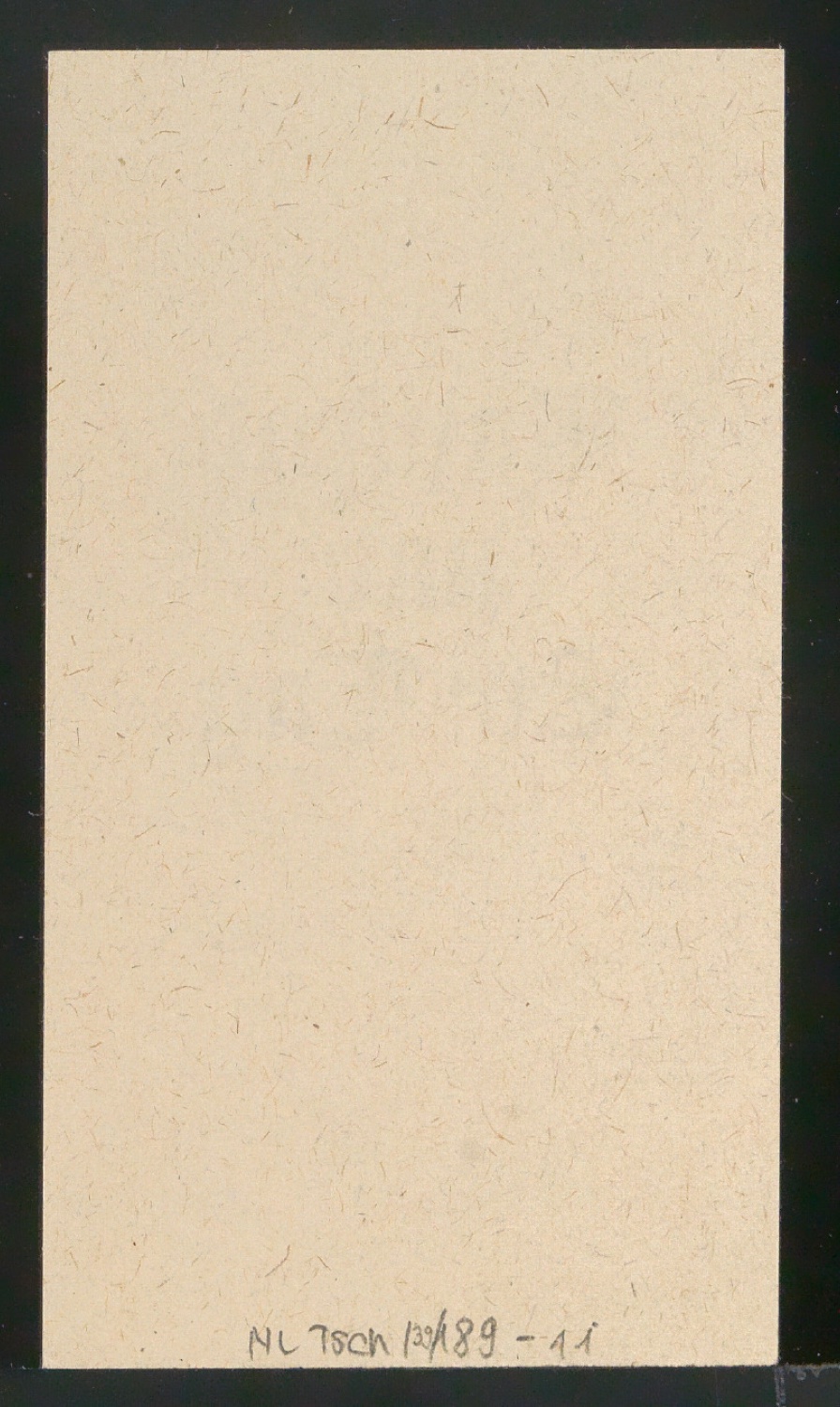 Blattsammlung zum Meisterbuch der Schrift — Blatt 20