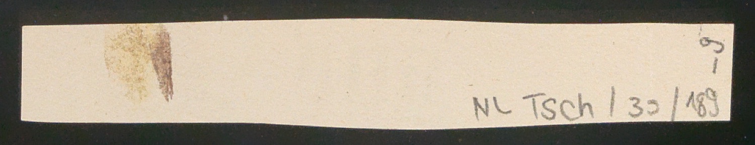 Blattsammlung zum Meisterbuch der Schrift — Blatt 24
