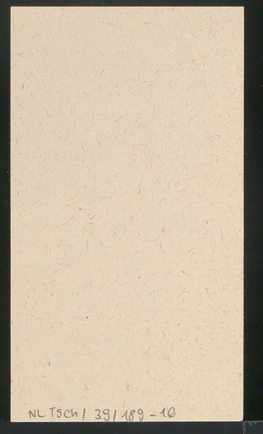 Blattsammlung zum Meisterbuch der Schrift — Blatt 34