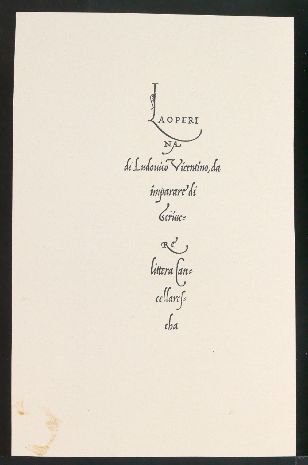 Blattsammlung zum Meisterbuch der Schrift — Blatt 41