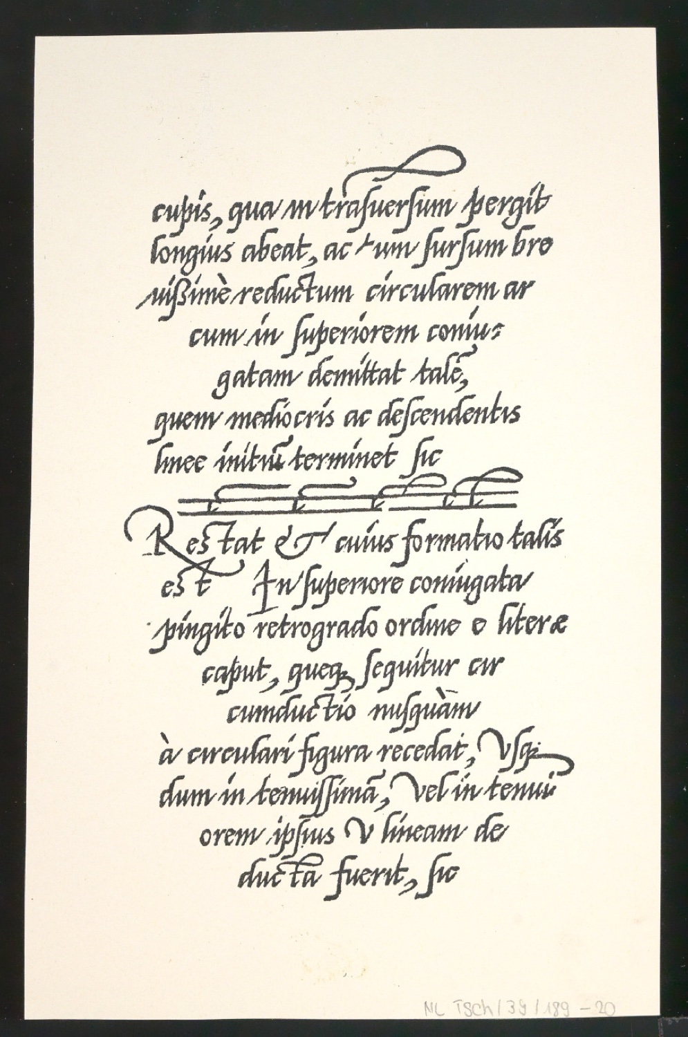 Blattsammlung zum Meisterbuch der Schrift — Blatt 42