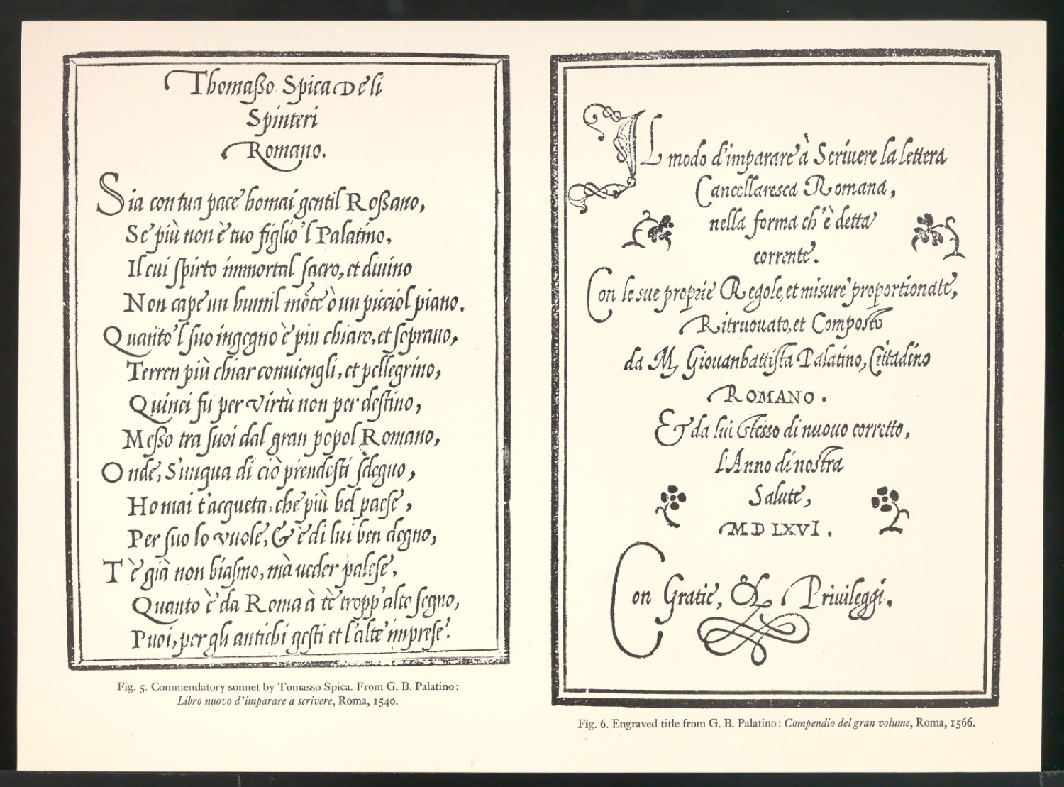 Blattsammlung zum Meisterbuch der Schrift — Blatt 43