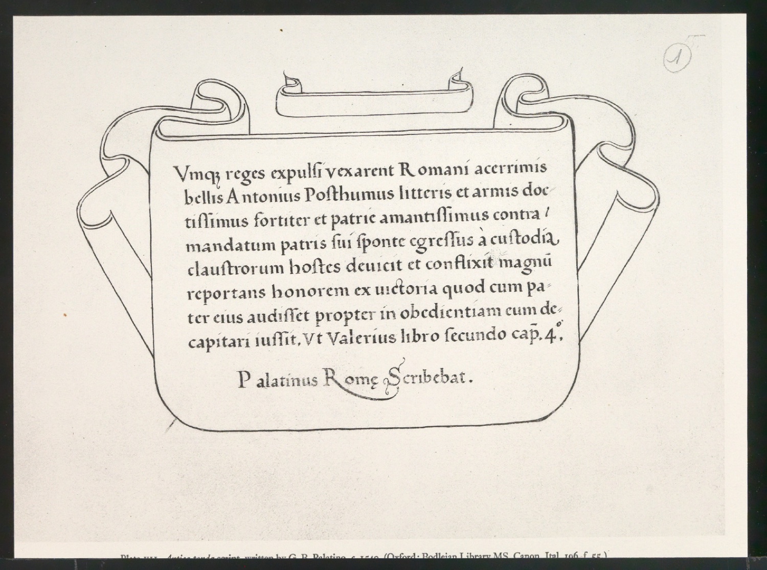 Blattsammlung zum Meisterbuch der Schrift — Blatt 53