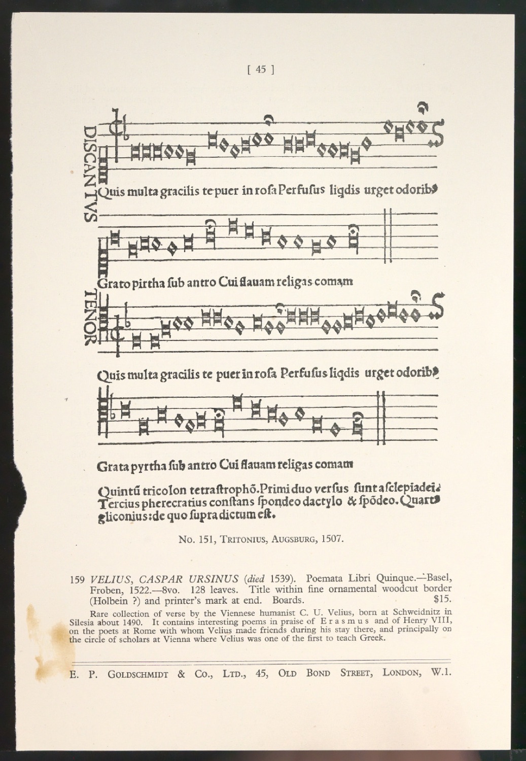 Blattsammlung zum Meisterbuch der Schrift — Blatt 99