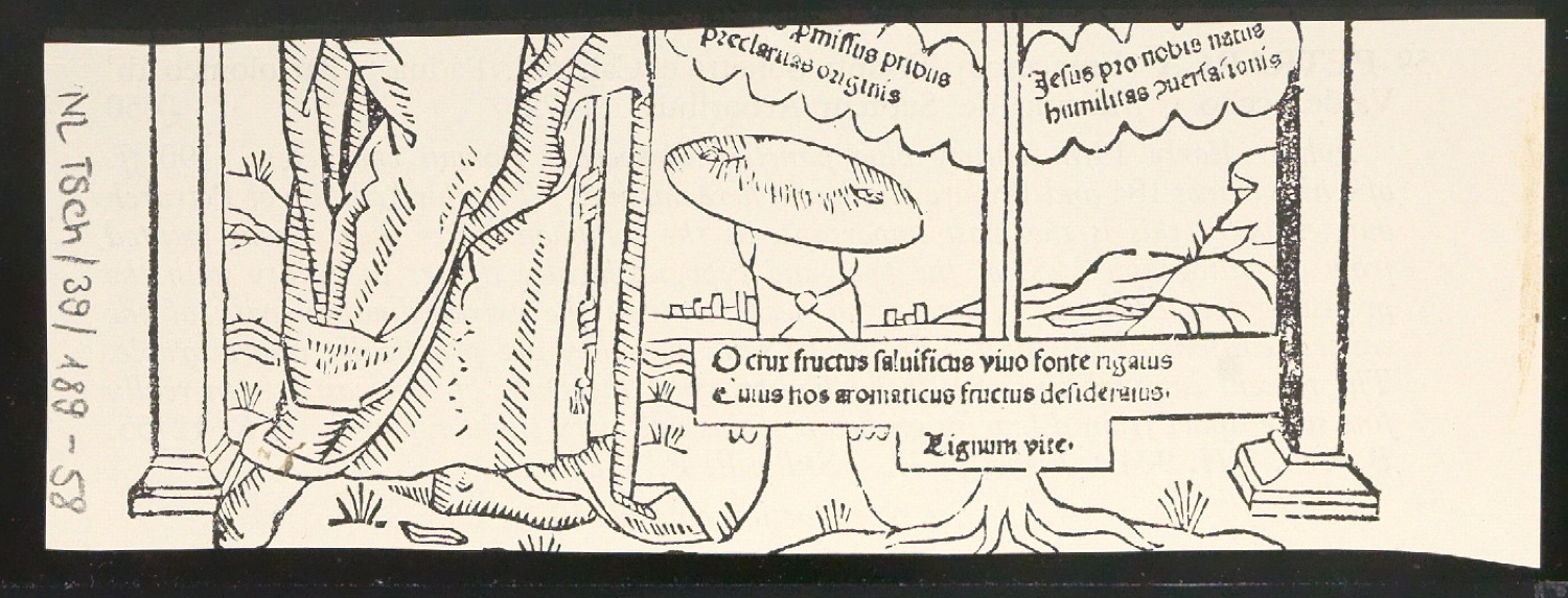 Blattsammlung zum Meisterbuch der Schrift — Blatt 118