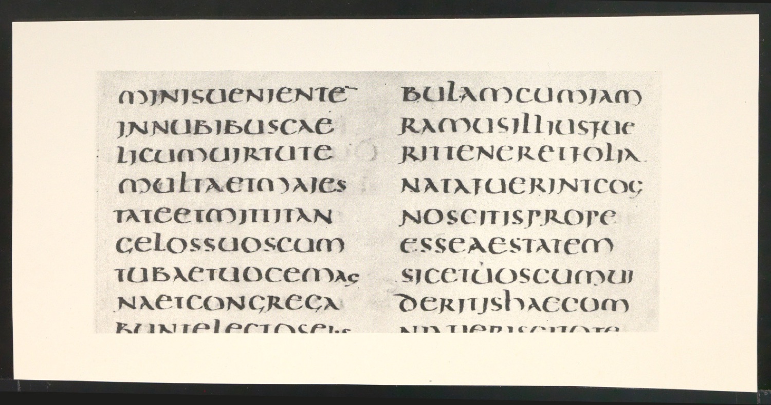 Blattsammlung zum Meisterbuch der Schrift — Blatt 129
