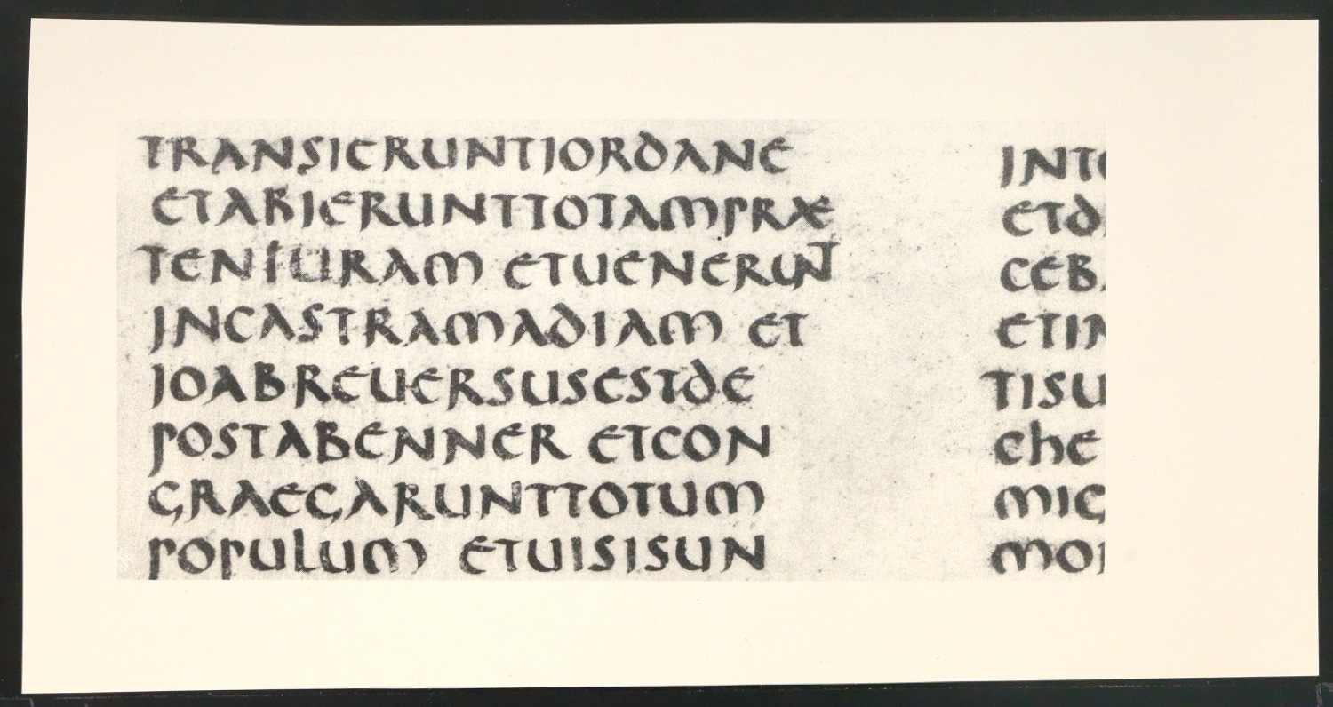 Blattsammlung zum Meisterbuch der Schrift — Blatt 131
