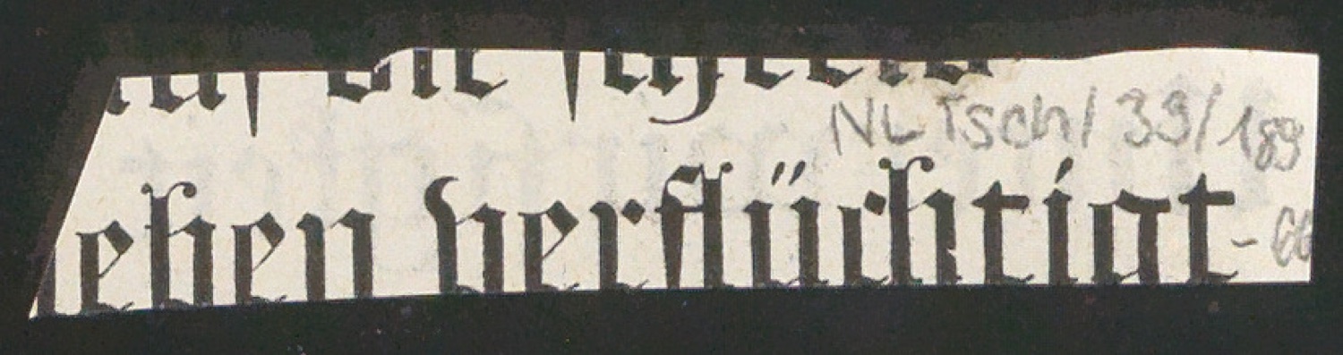 Blattsammlung zum Meisterbuch der Schrift — Blatt 134