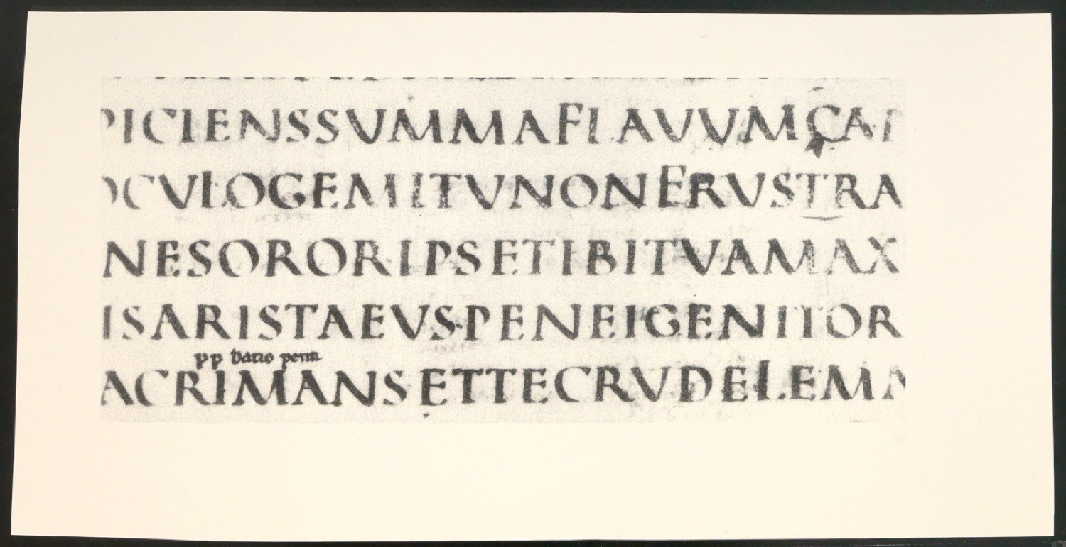 Blattsammlung zum Meisterbuch der Schrift — Blatt 135
