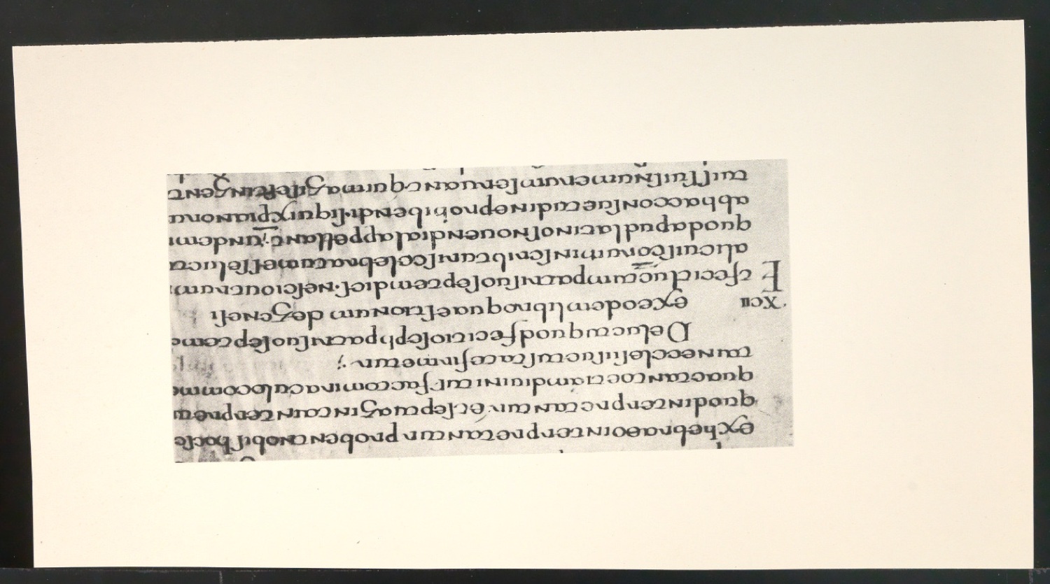 Blattsammlung zum Meisterbuch der Schrift — Blatt 139