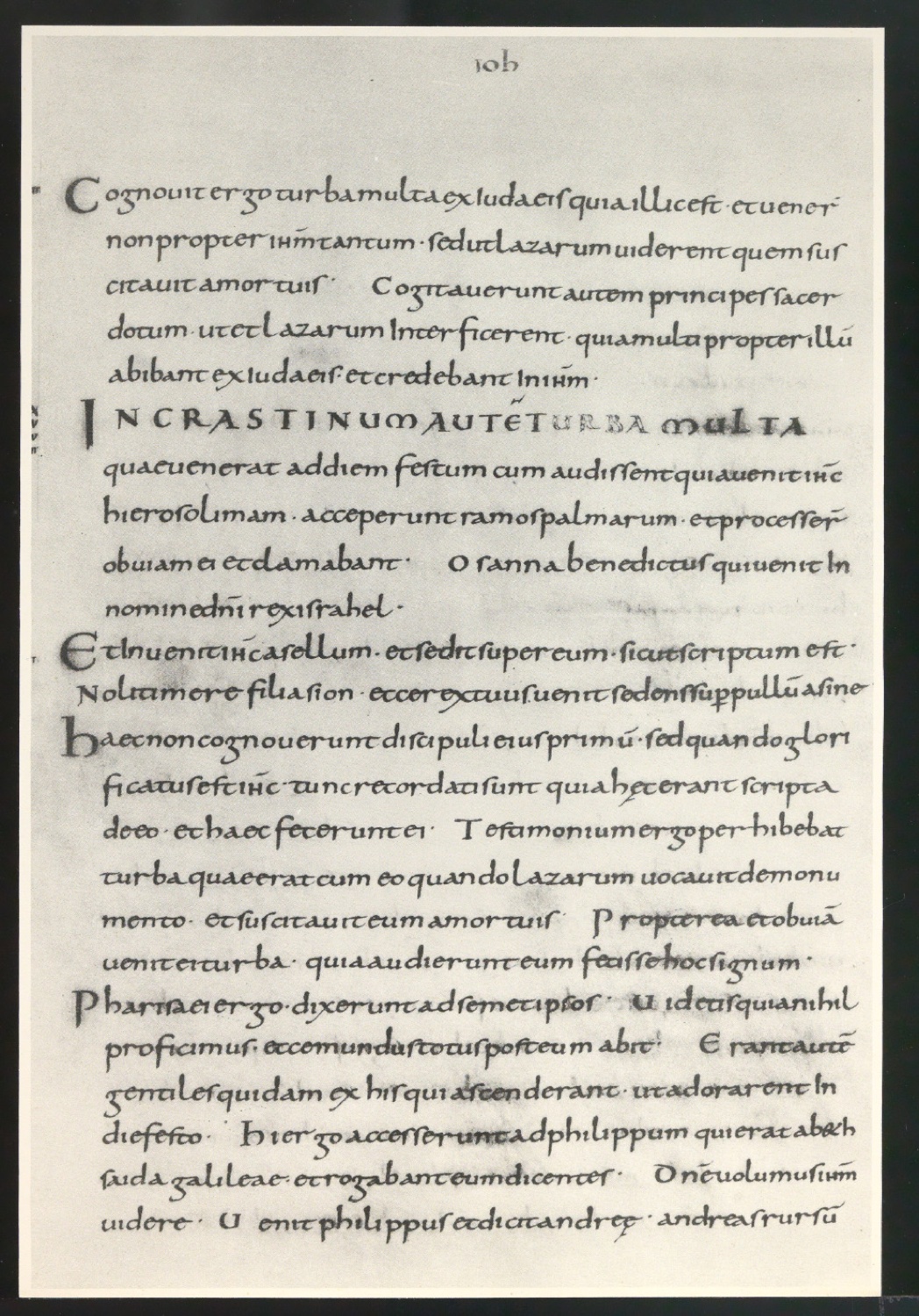 Probedrucke von Bildtafeln für Meisterbuch der Schrift — Blatt 1