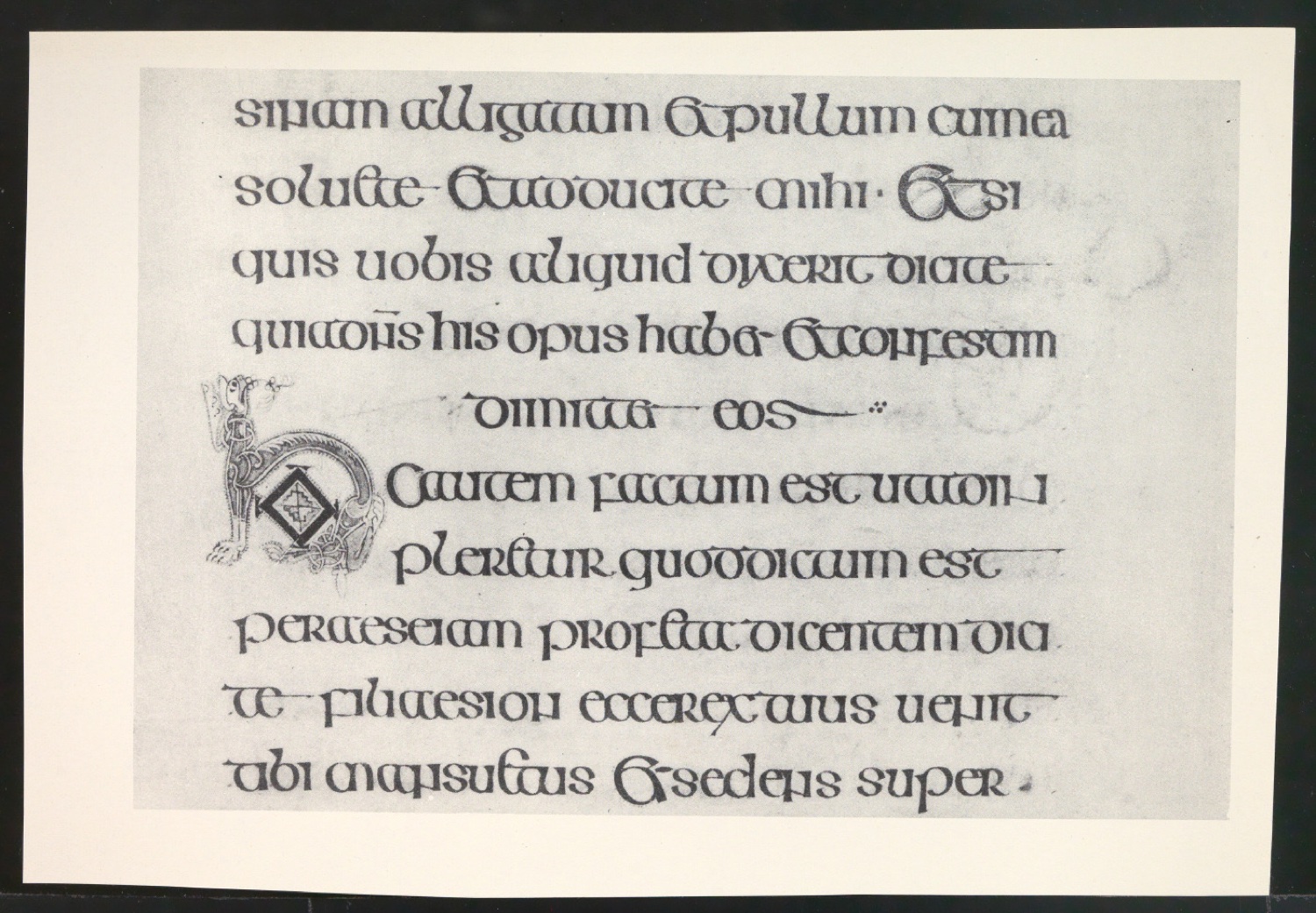Probedrucke von Bildtafeln für Meisterbuch der Schrift — Blatt 33