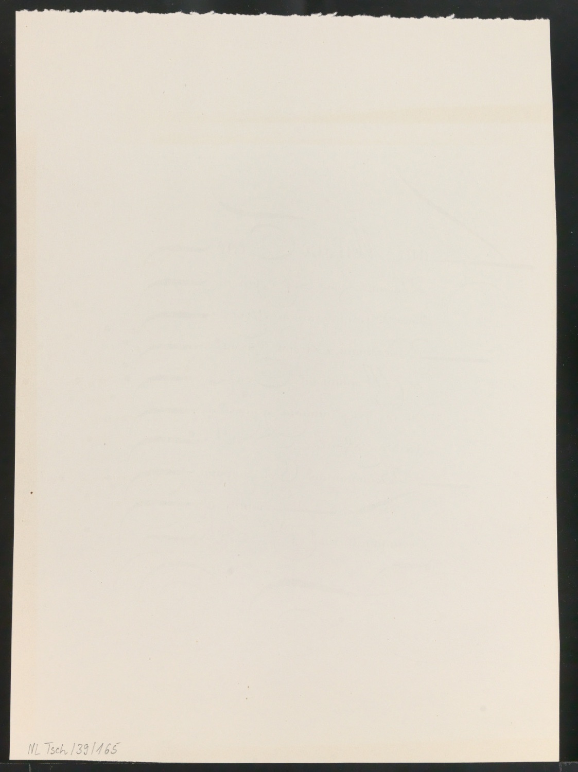 Probedrucke von Bildtafeln für Meisterbuch der Schrift — Blatt 78