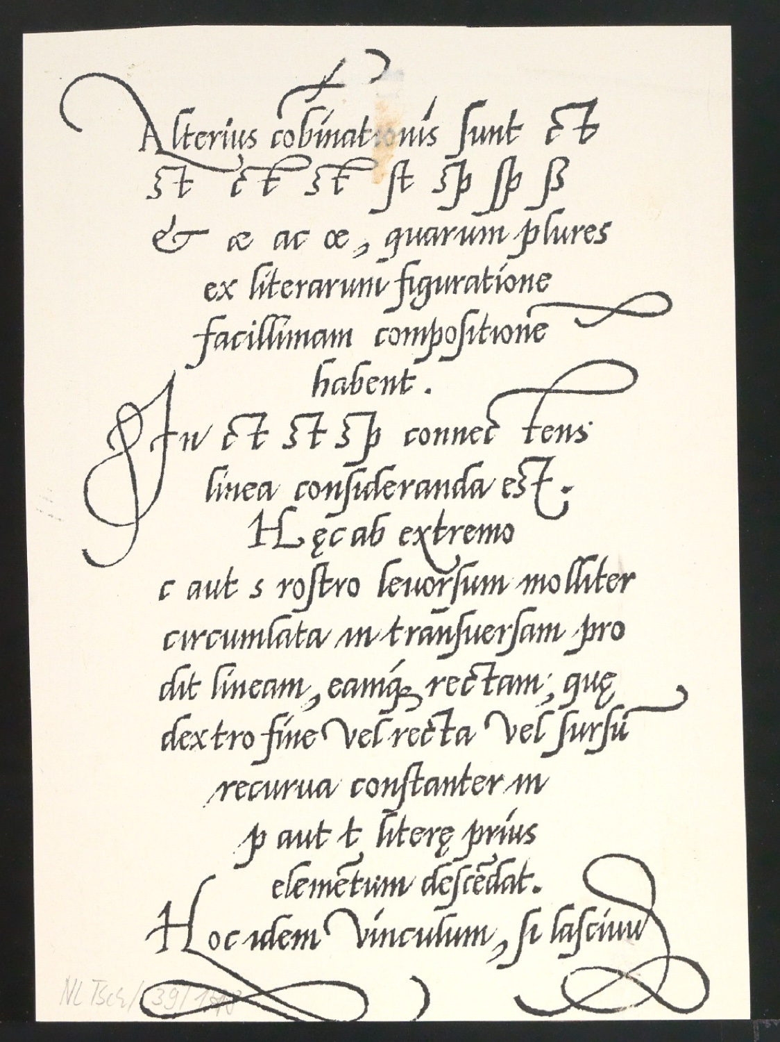 Probedrucke von Bildtafeln für Meisterbuch der Schrift — Blatt 26