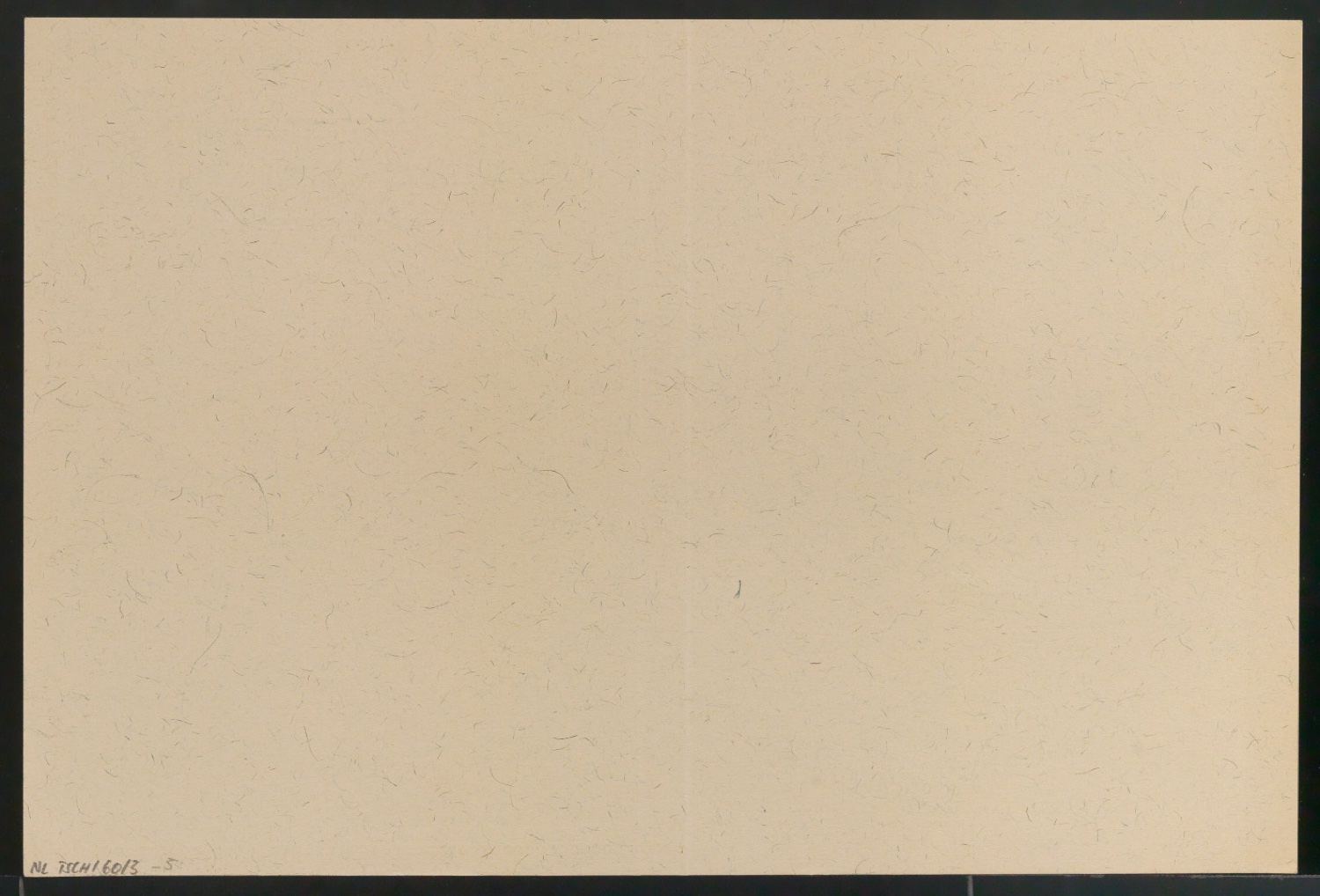 Probedrucke für den Schutzumschlag von Albert Schweitzer — Blatt 10