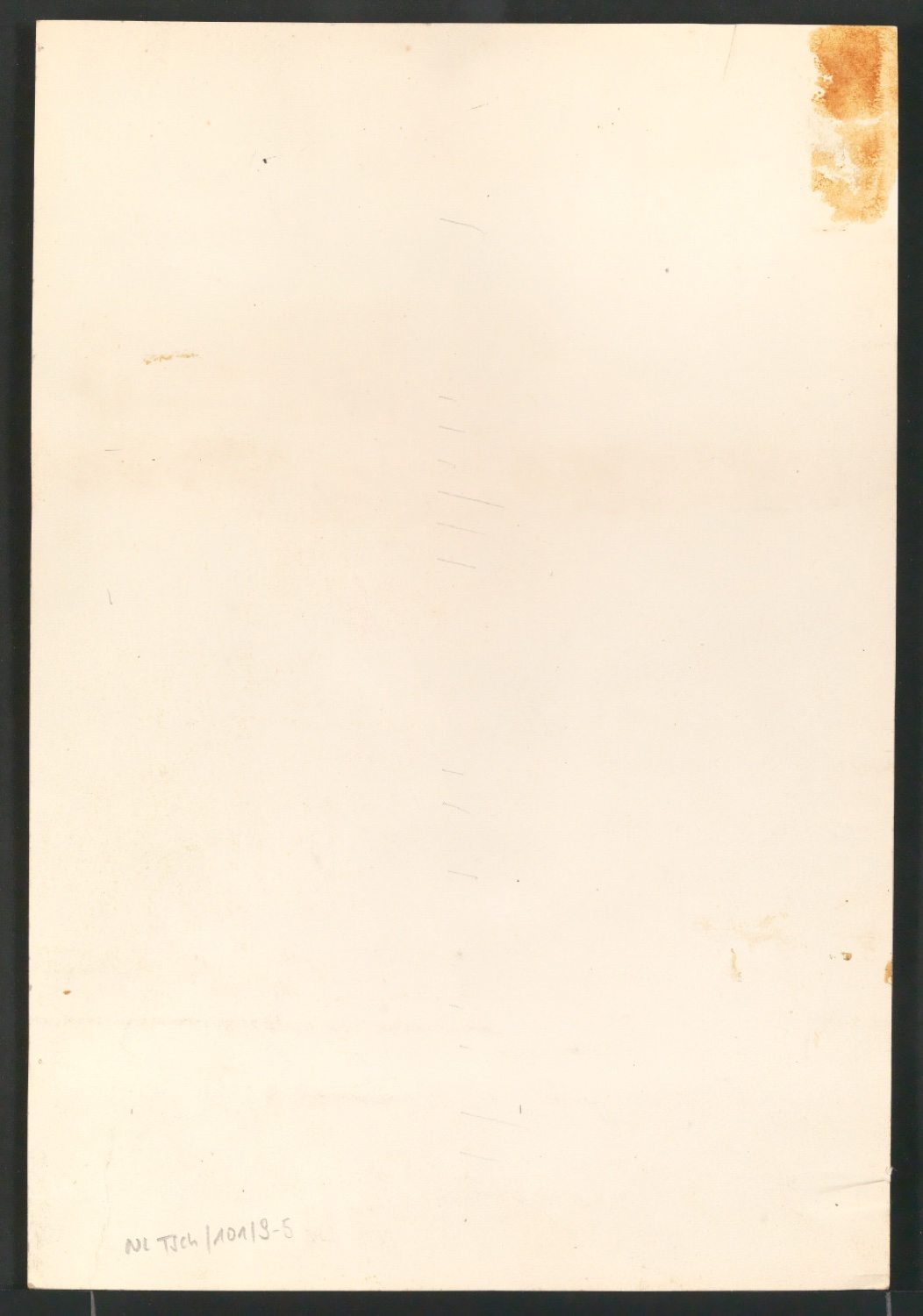 Entwürfe von Briefbogen für Georg-Rentsch-Söhne — Blatt 14
