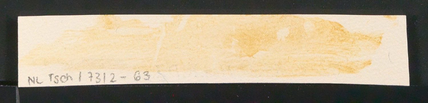 Entwürfe, Probedrucke und Klischeeabzüge von Signet für Briefbogen für Edith Tschichold — Blatt 38