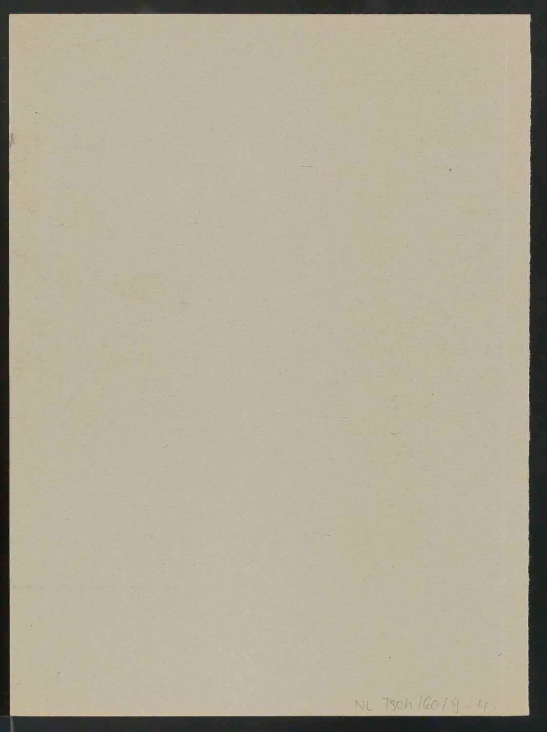 Probedrucke von Titelblättern, Buchrücken und Schutzumschlägen für Verlag Heinrich Majer — Blatt 10