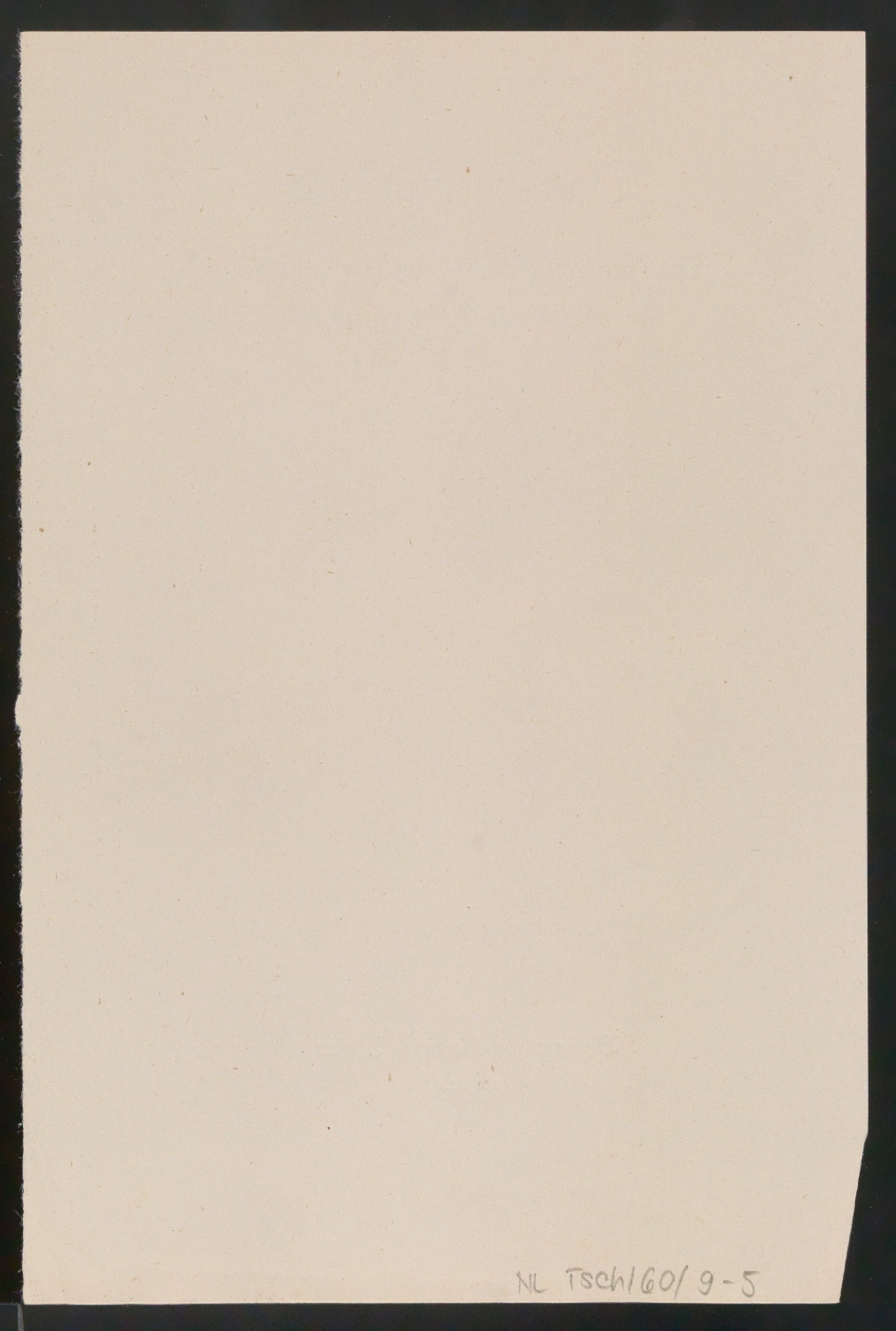 Probedrucke von Titelblättern, Buchrücken und Schutzumschlägen für Verlag Heinrich Majer — Blatt 12
