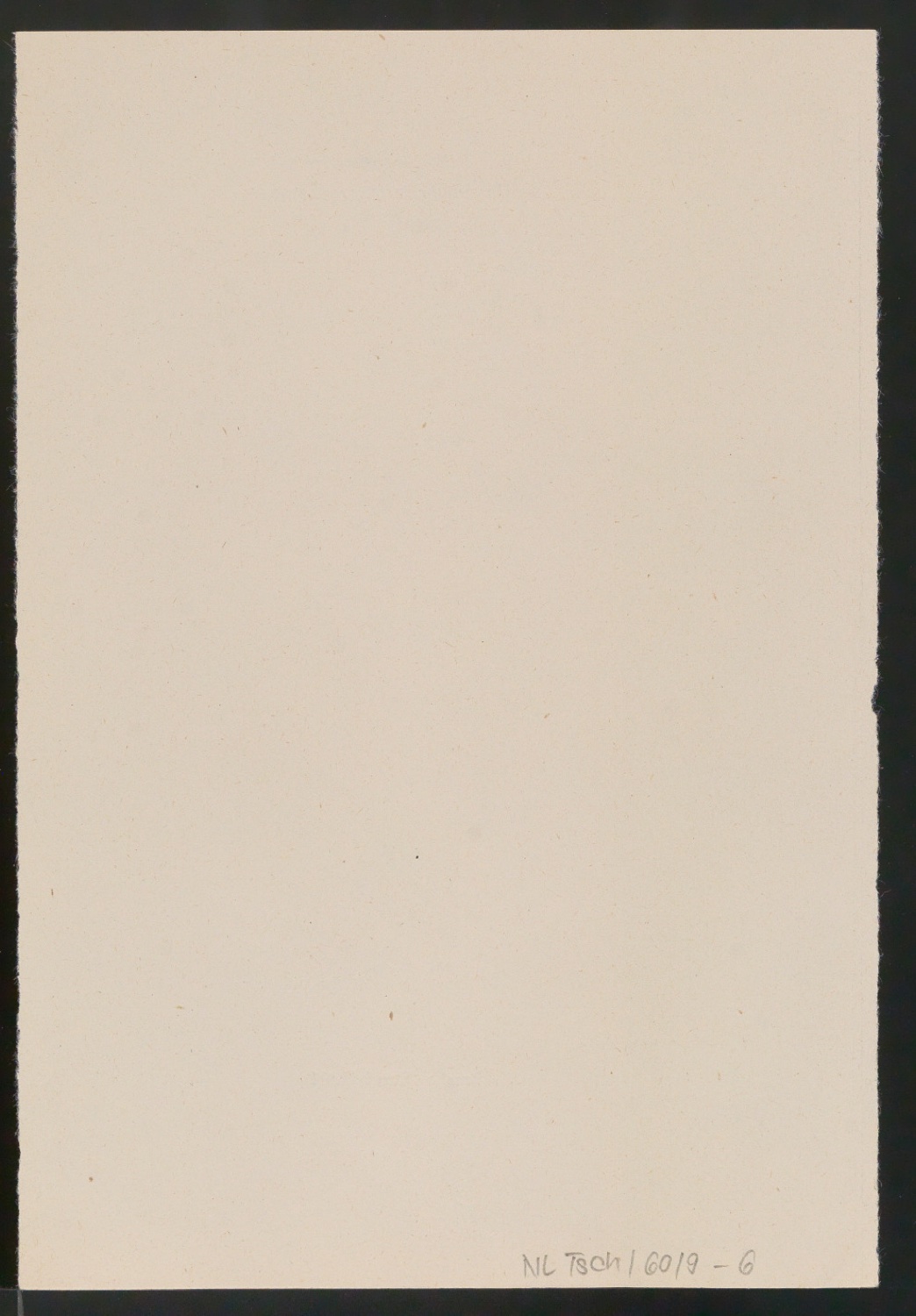 Probedrucke von Titelblättern, Buchrücken und Schutzumschlägen für Verlag Heinrich Majer — Blatt 14