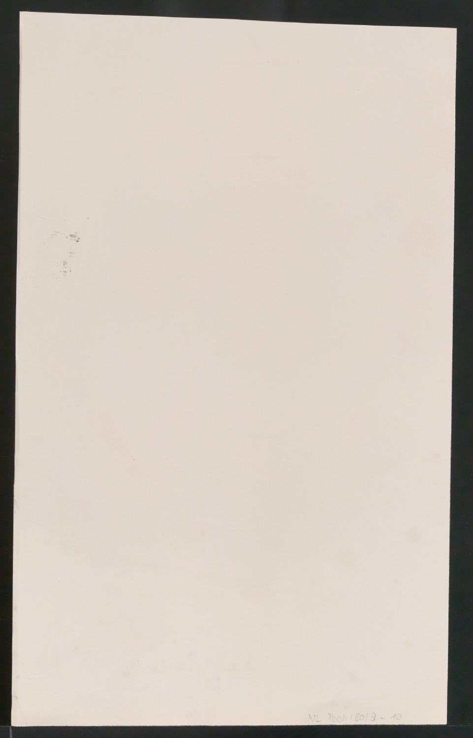 Probedrucke von Titelblättern, Buchrücken und Schutzumschlägen für Verlag Heinrich Majer — Blatt 23
