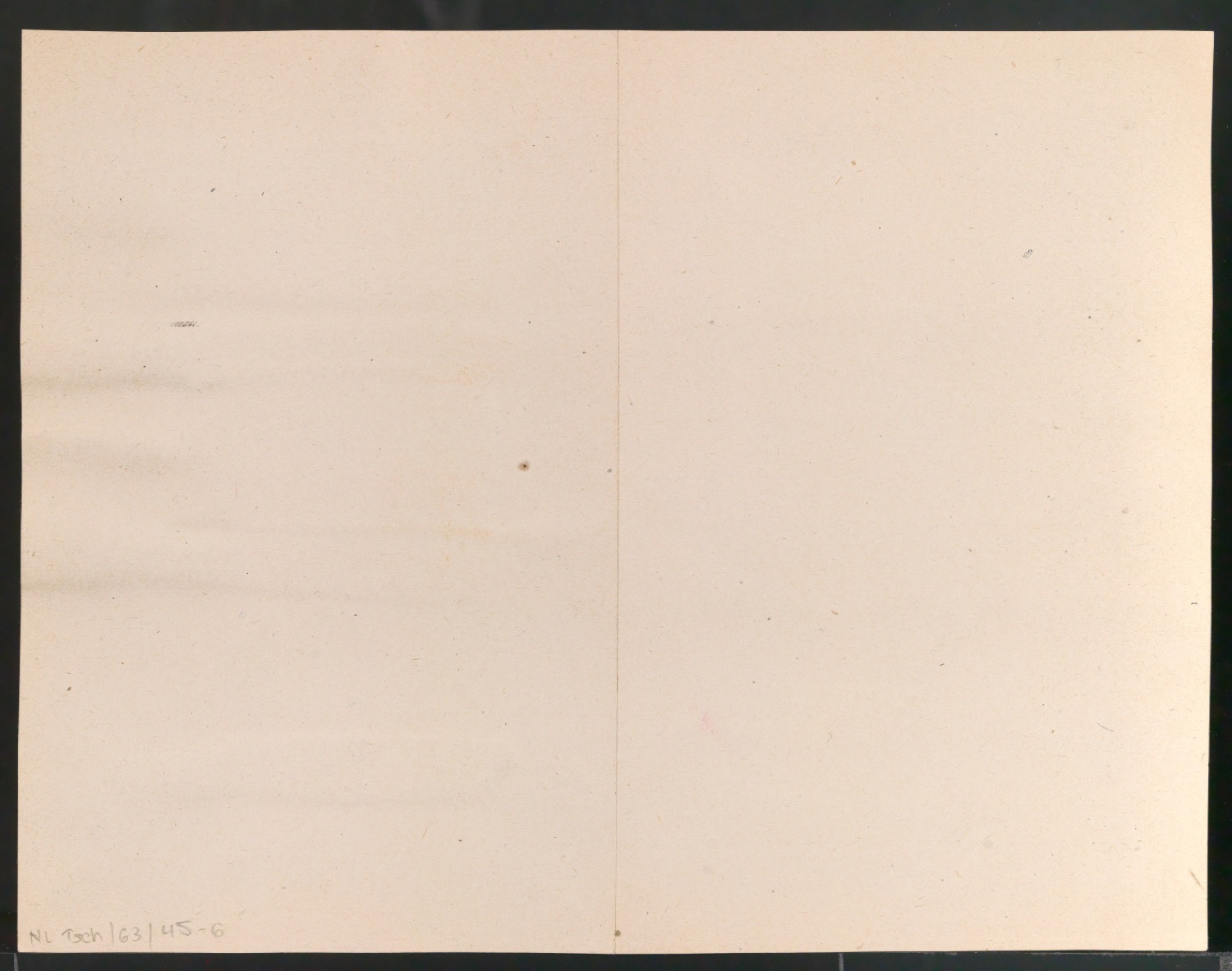Entwurf des Titelblattes zu British Wild Flowers — Blatt 2