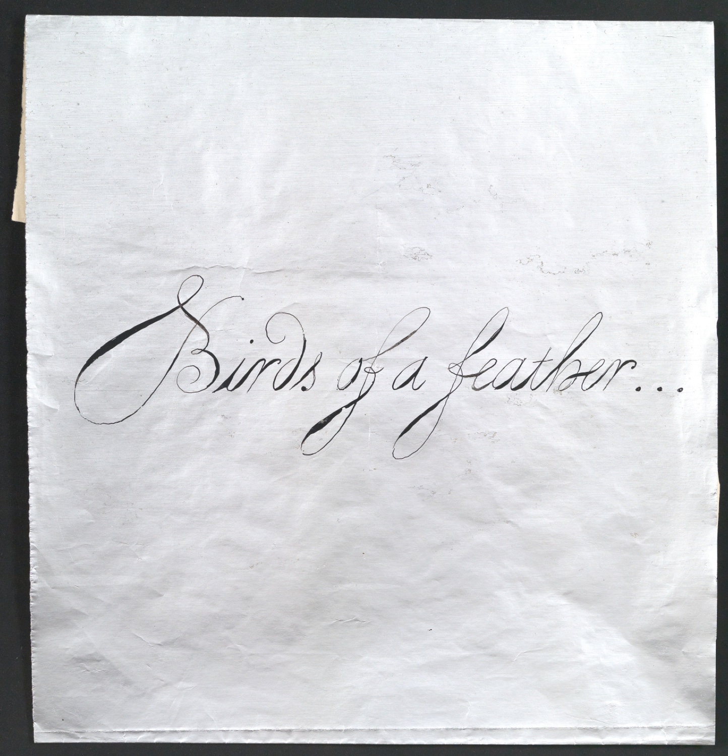Schriftentwurf für ein Werbeplakat von Birds Of A Feather: Penguins, Pelicans, and Puffins — Blatt 1