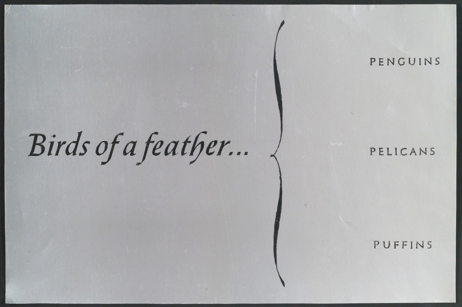 Schriftentwurf für ein Werbeplakat von Birds Of A Feather: Penguins, Pelicans, and Puffins — Blatt 1