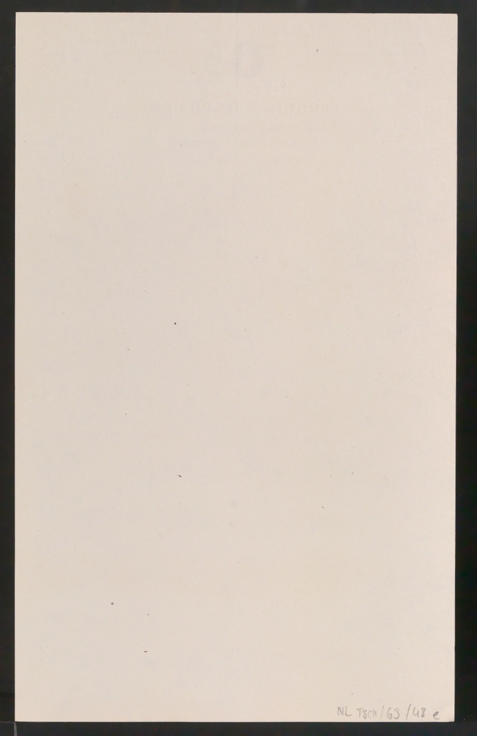 Briefbogen Penguin Science News — Blatt 2