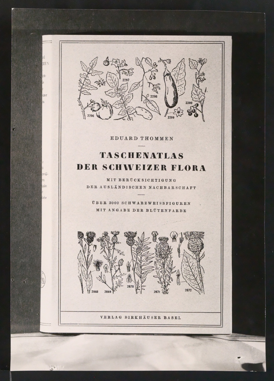 Fotografie des Buches Taschenatlas der Schweizer Flora — Blatt 1