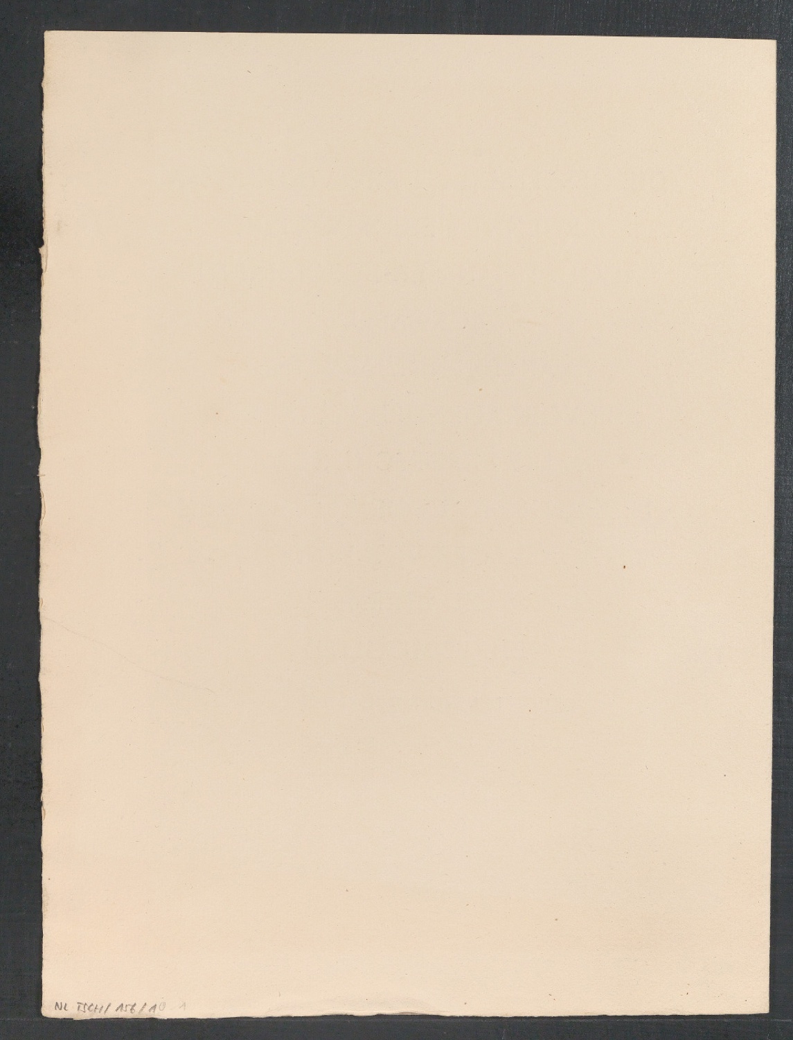 Ernennungsurkunde für August Gansser-Burckhardt zum Ehrenmitglied — Blatt 3