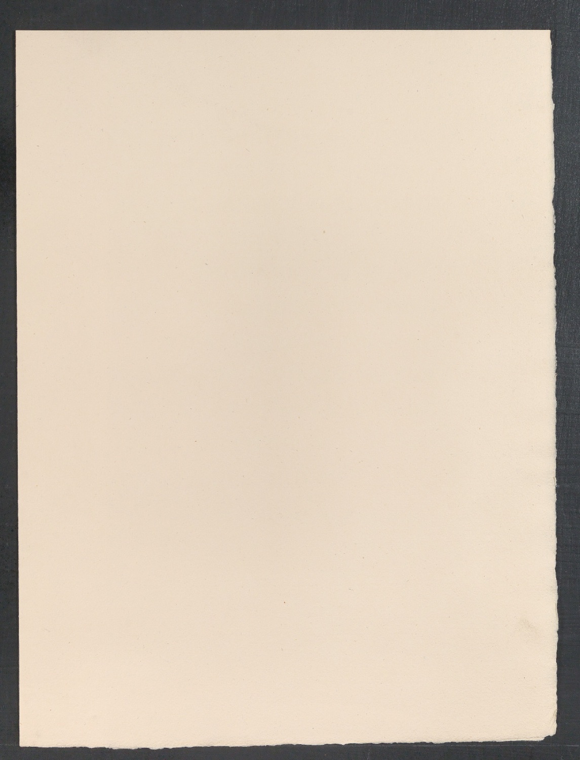 Ernennungsurkunde für August Gansser-Burckhardt zum Ehrenmitglied — Blatt 4