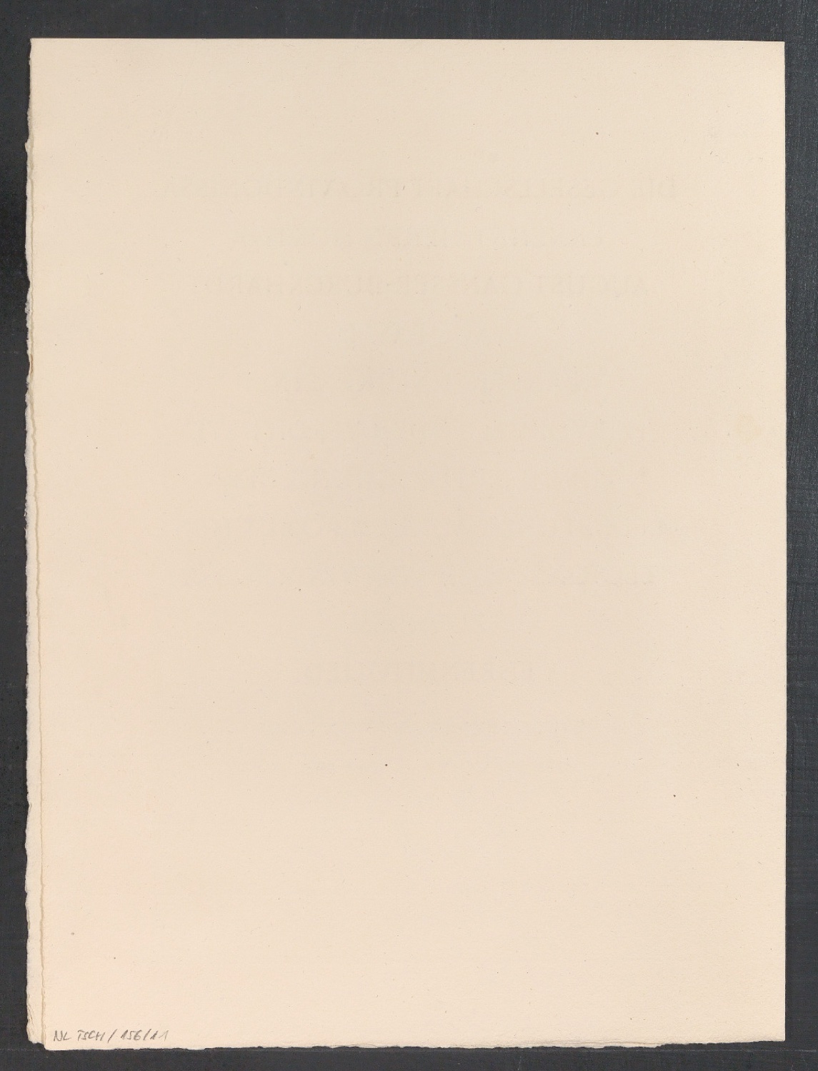 Ernennungsurkunde für August Gansser-Burckhardt zum Ehrenmitglied — Blatt 6