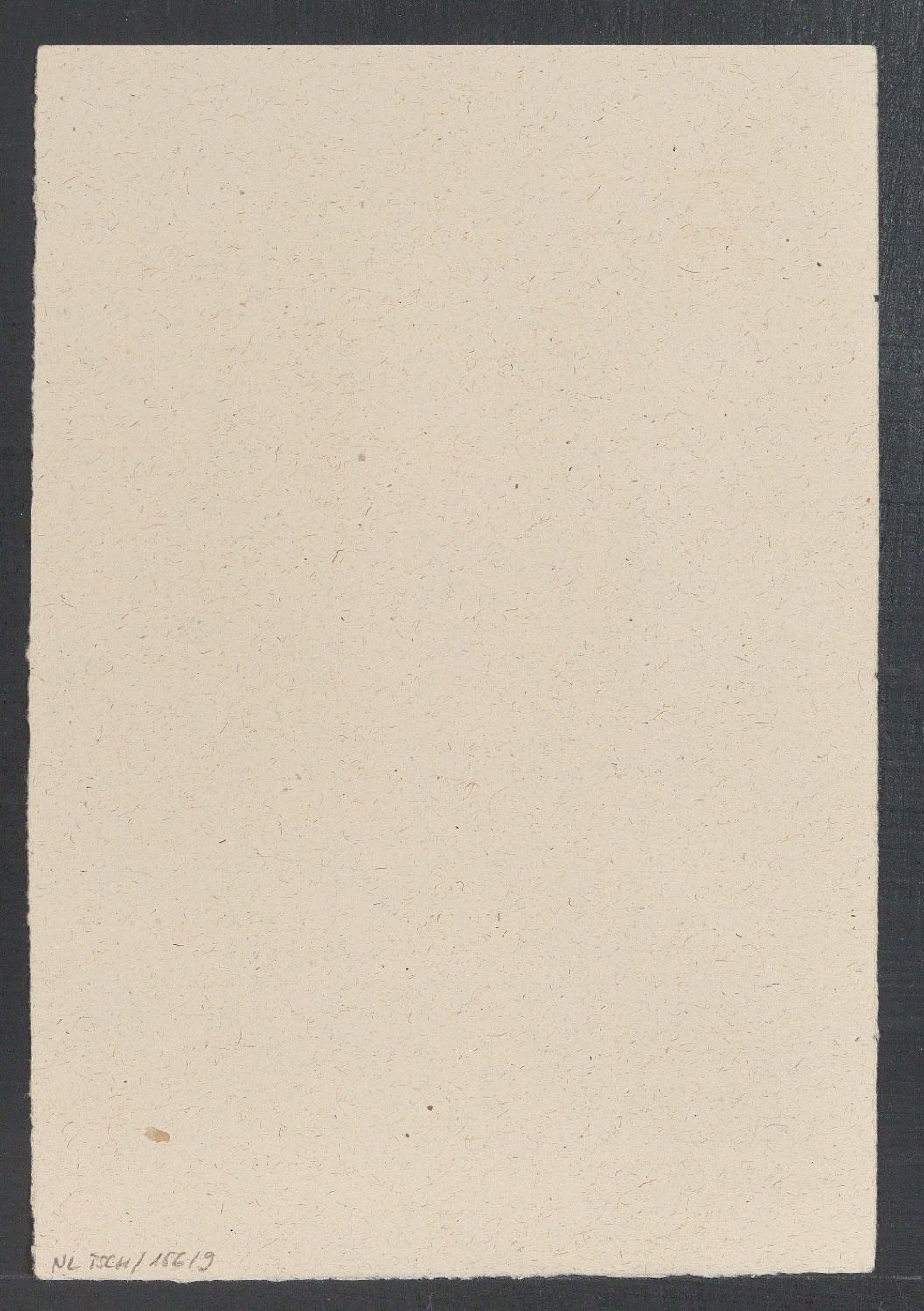 Ernennungsurkunde für August Gansser-Burckhardt zum Ehrenmitglied — Blatt 10