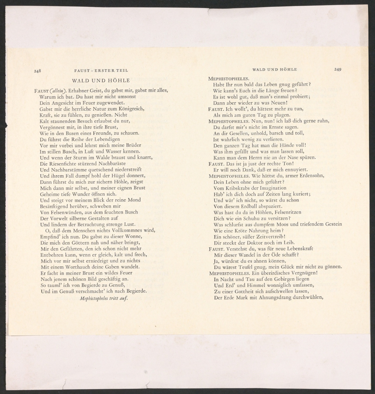 Layout von zwei Seiten für Faust — Blatt 1