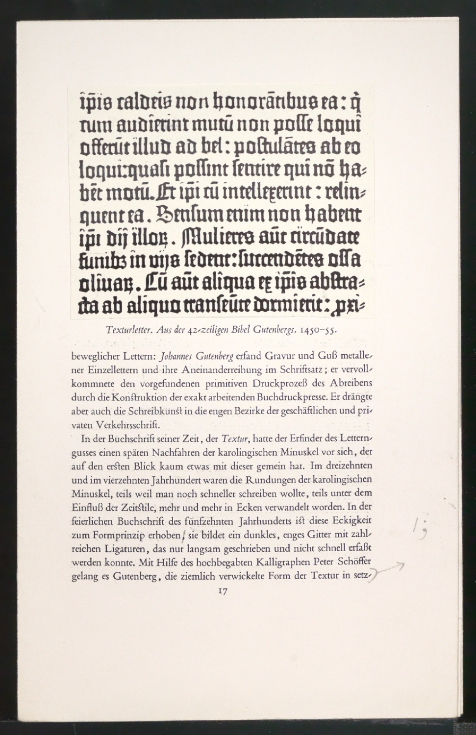 Montierte Druckfahnen für Schriftkunde, Schreibübungen und Skizzieren für Setzer — Blatt 1