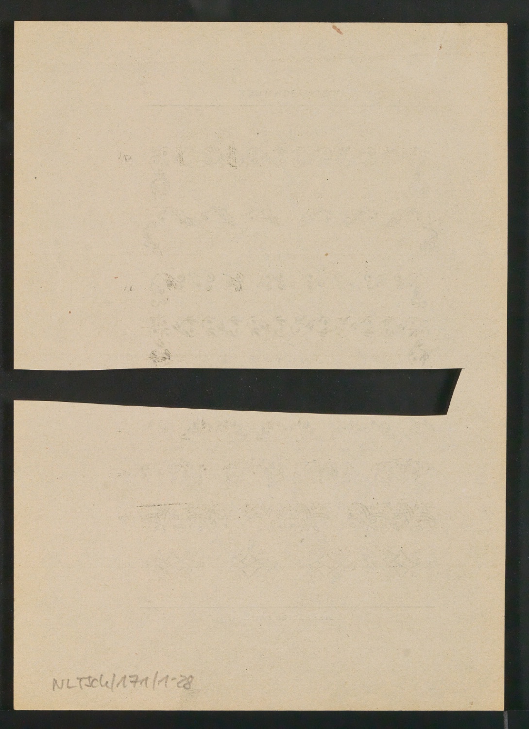 Probedruck von Seiten für Neue Ornamente — Blatt 22
