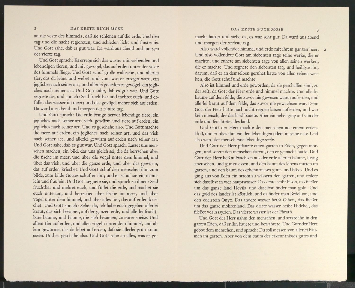 Werbedruck Das Erste Buch Mose — Blatt 2