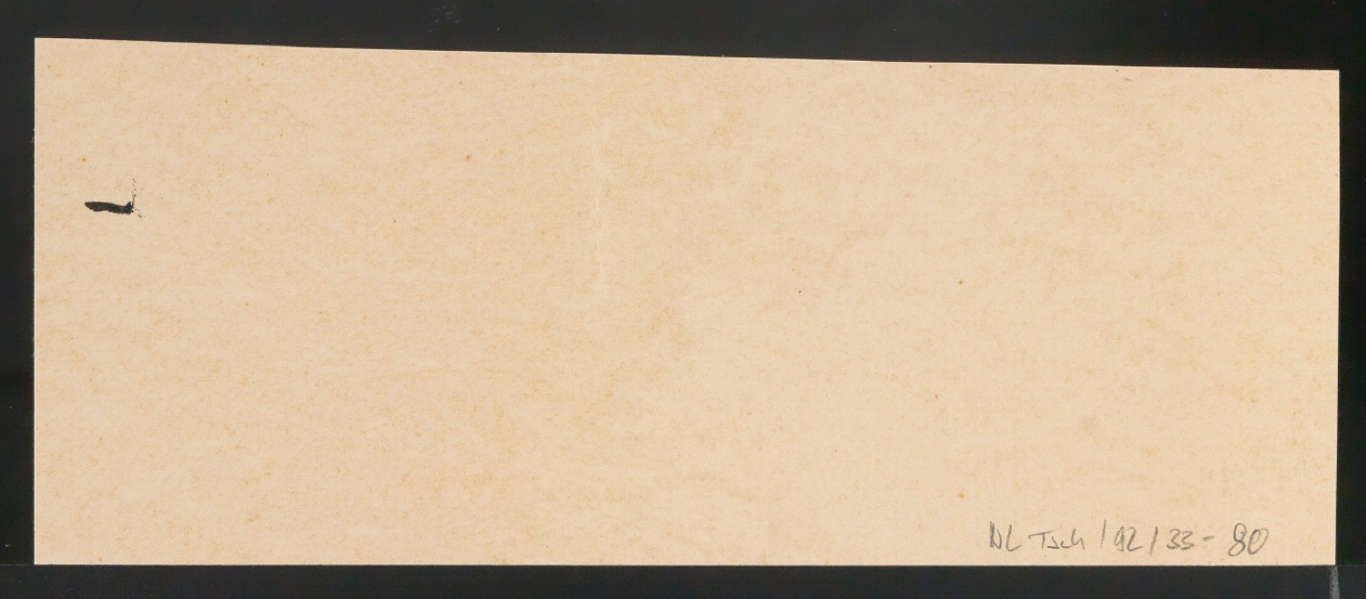 Kalligrafie für das Titelschild von Baltoro — Blatt 2