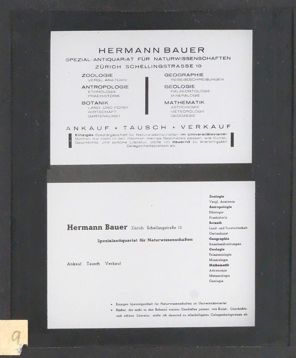 Lichtbilder auf Glasplatten — Blatt 19