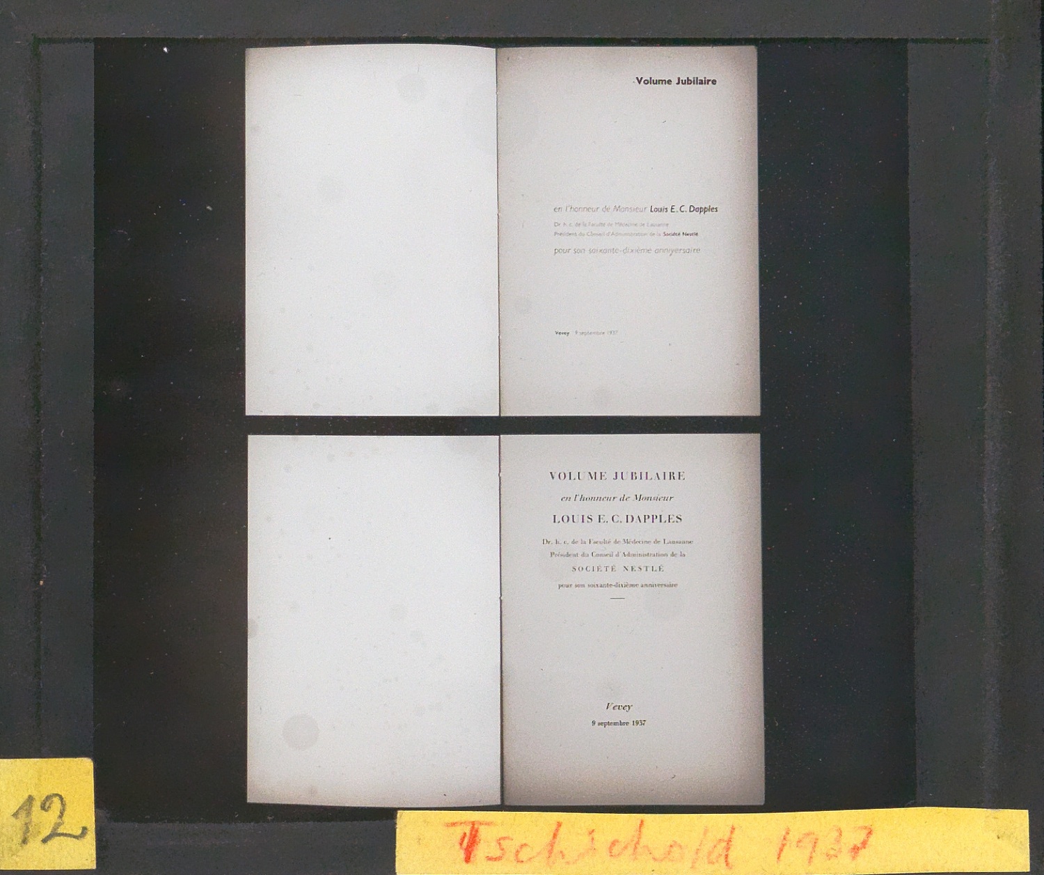 Lichtbilder auf Glasplatten — Blatt 35